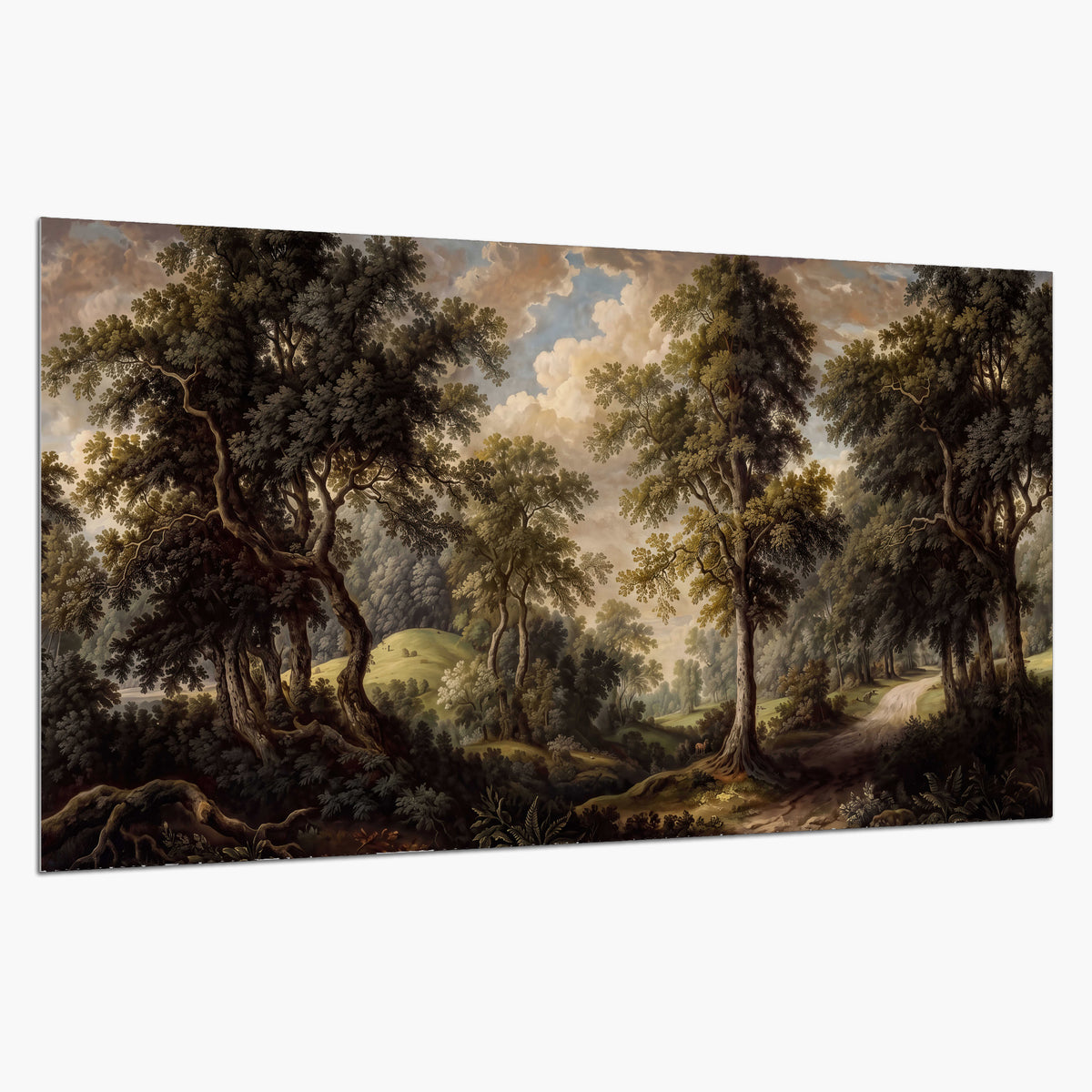 Old trees framing a softly lit woodland path single poster print on a white background
