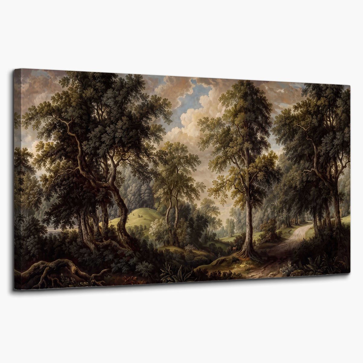 Old trees framing a softly lit woodland path single canvas wall art on a white background