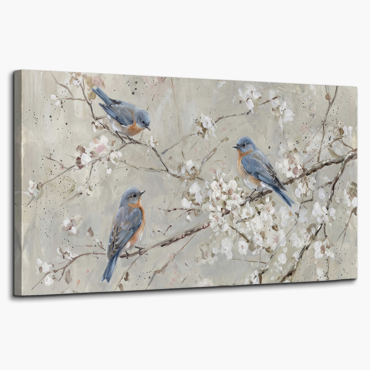 Bluebirds perched on delicate white flowering branches against pale sage single canvas wall art on a white background