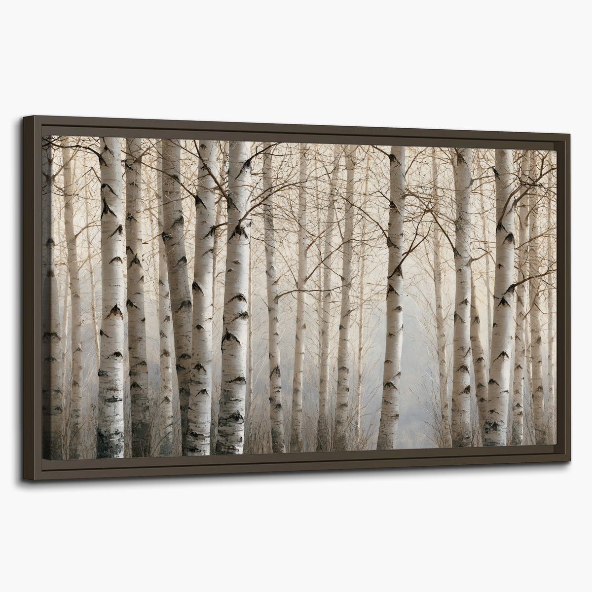 Pale birch trunks and delicate bare branches in a soft neutral woodland single framed canvas wall art on a white background