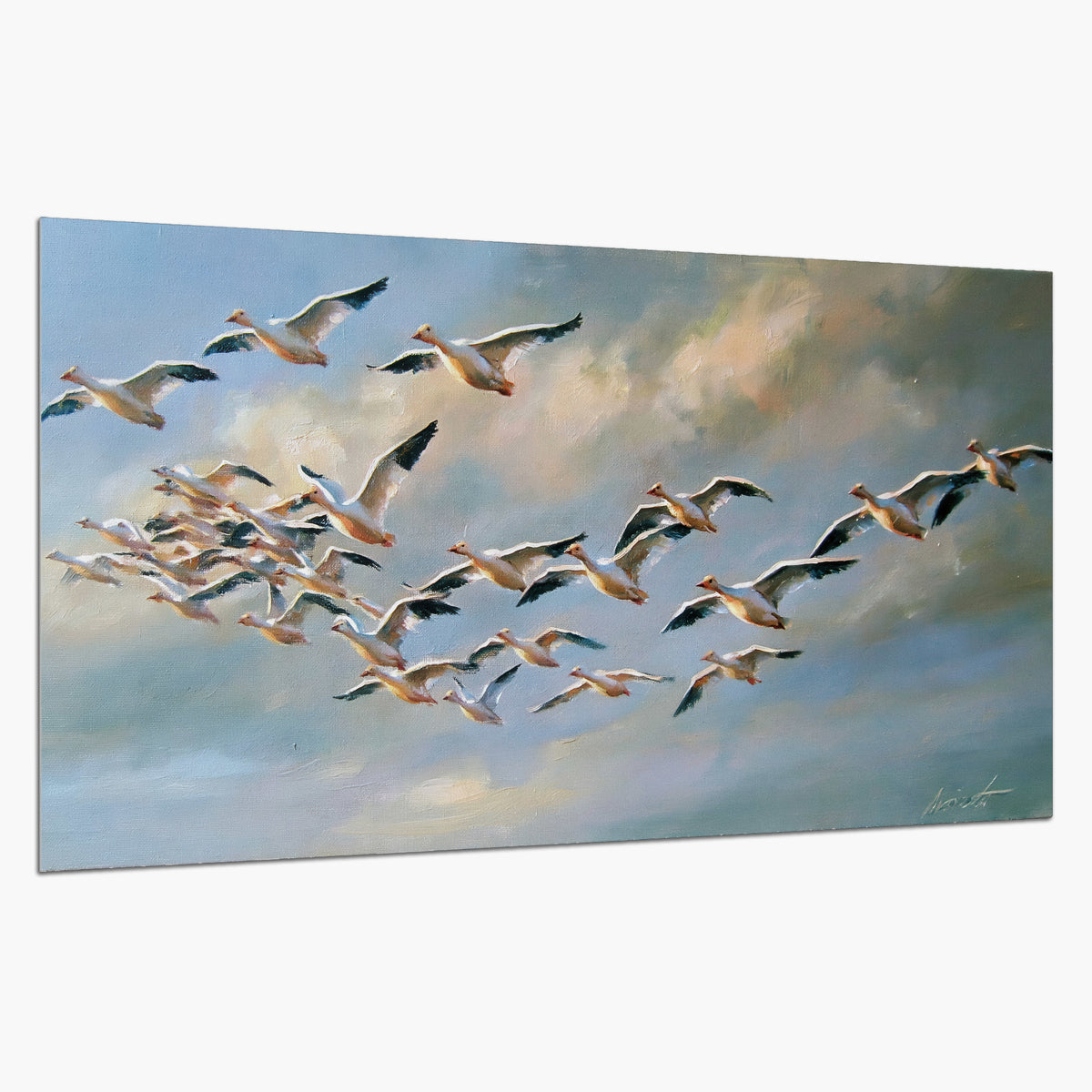 A flock of pale seabirds gliding beneath soft clouds across a blue sky single poster print on a white background
