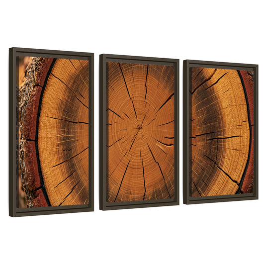 Tree ring wood slice art 3 piece framed canvas wall art set on a white background