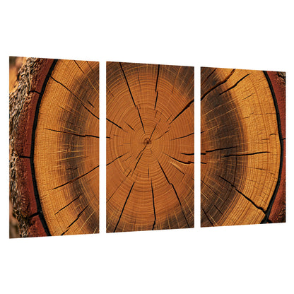 Tree ring wood slice art set of 3 poster prints on a white background