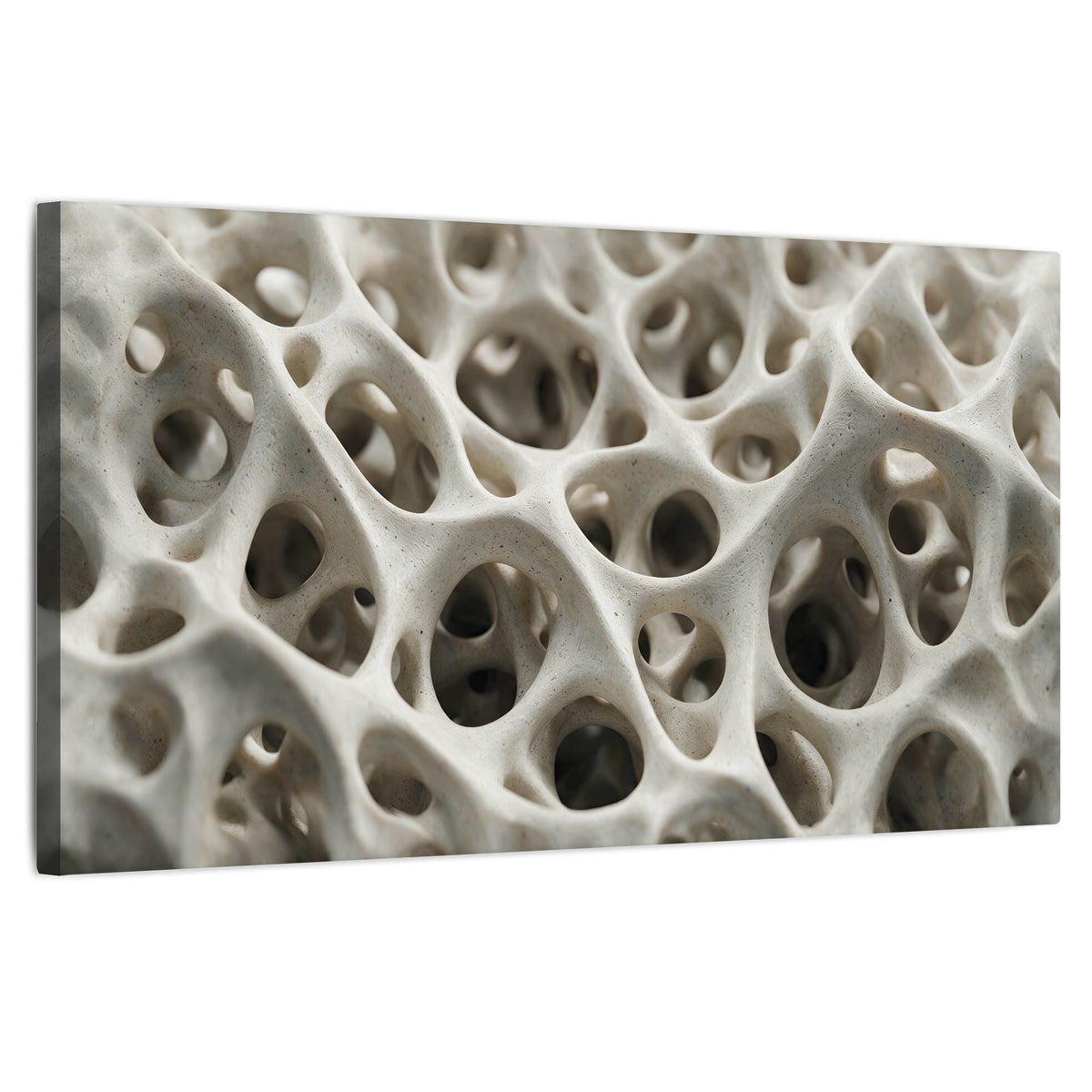 White organic texture abstract stretched canvas wall art on a white background