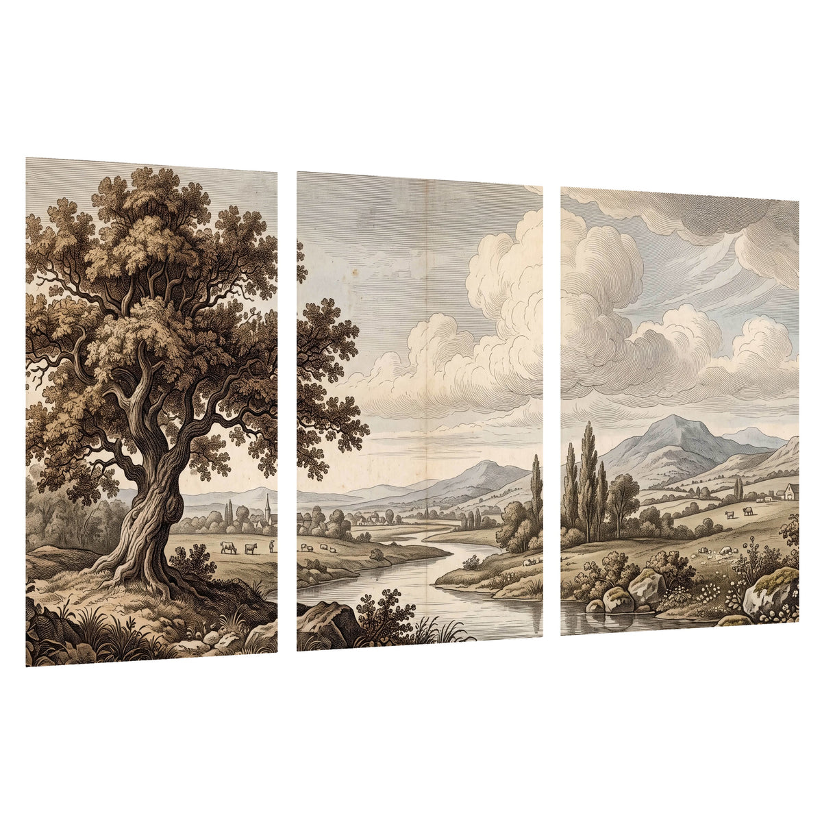 Vintage countryside engraving set of 3 poster prints on a white background
