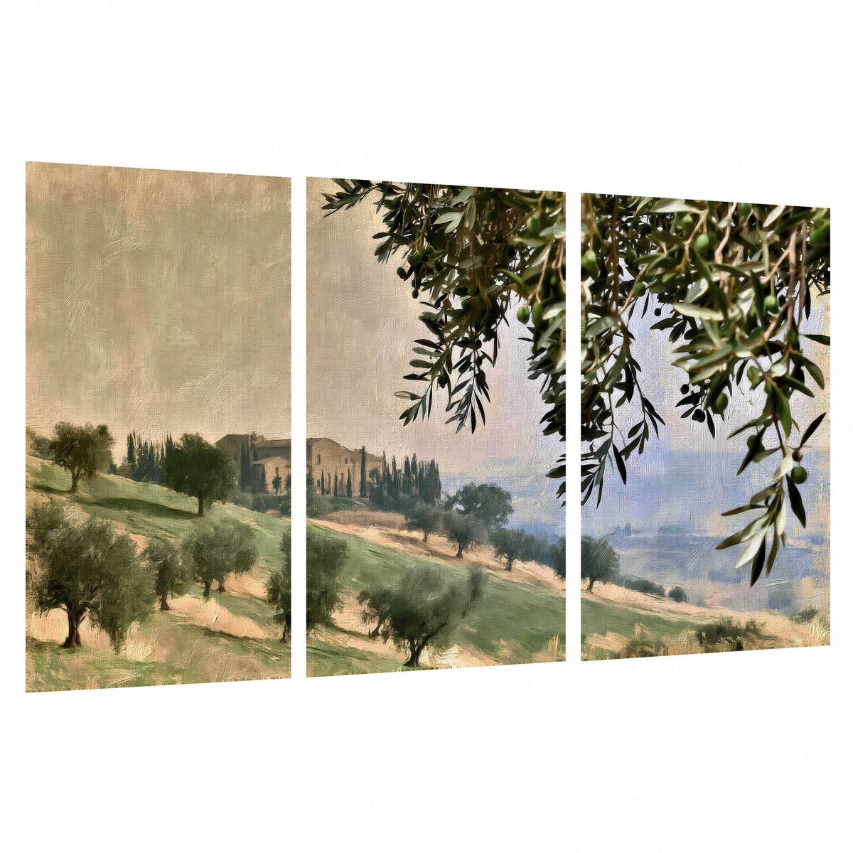 Tuscan olive grove painting set of 3 poster prints on a white background