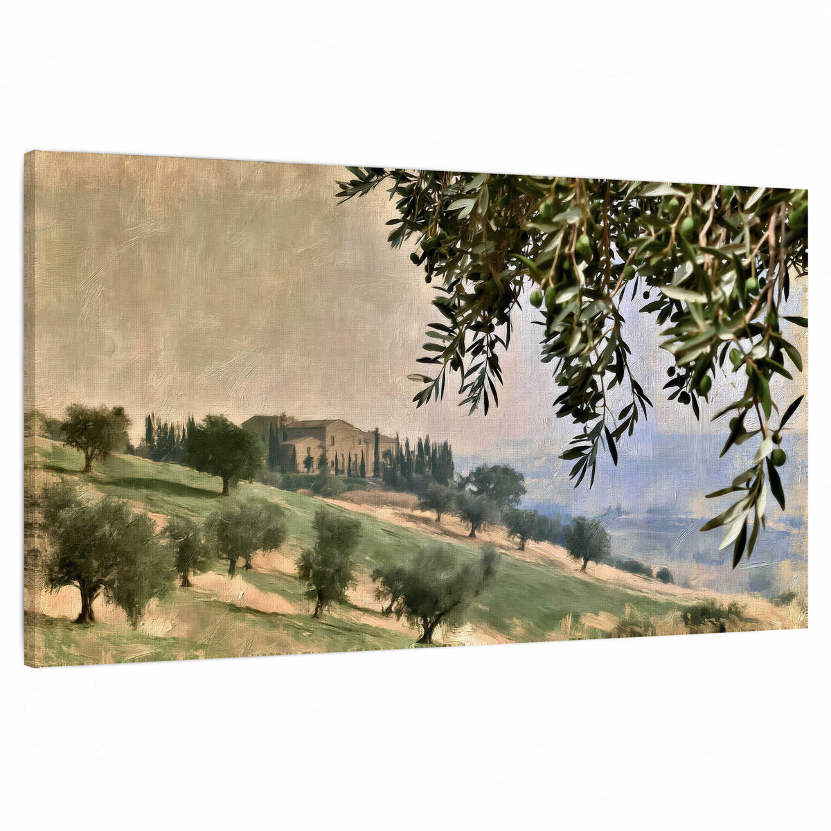 Tuscan olive grove painting stretched canvas wall art on a white background