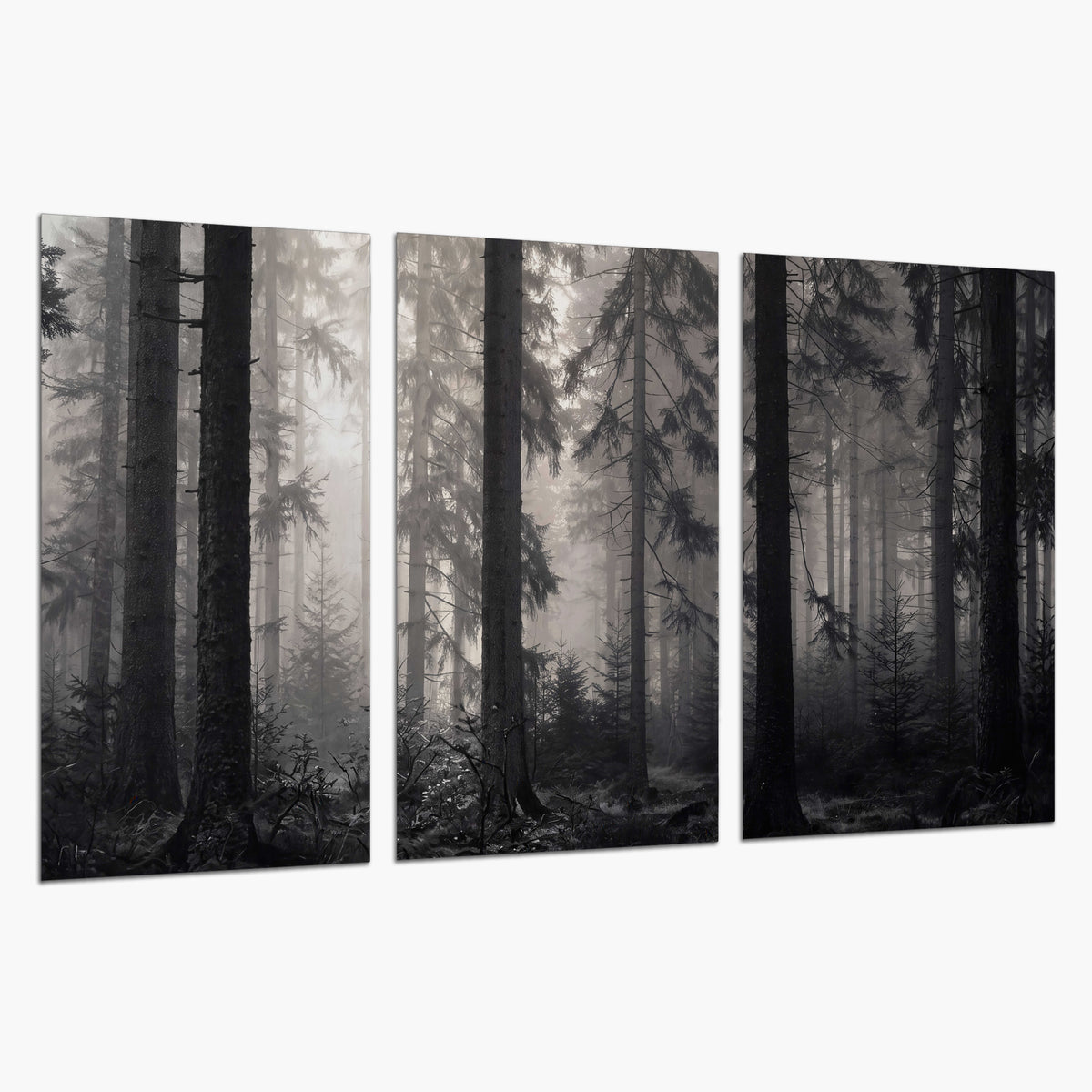 Tall woodland trees fading into pale mist set of 3 poster prints on a white background