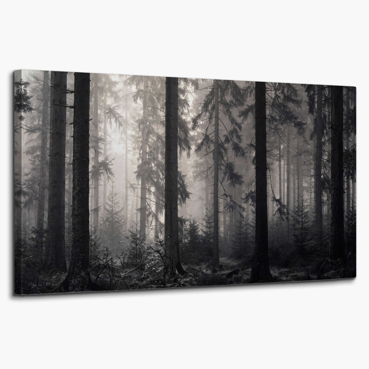 Tall woodland trees fading into pale mist single canvas wall art on a white background