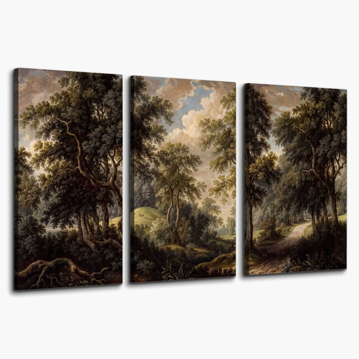Old trees framing a softly lit woodland path 3 piece canvas wall art on a white background