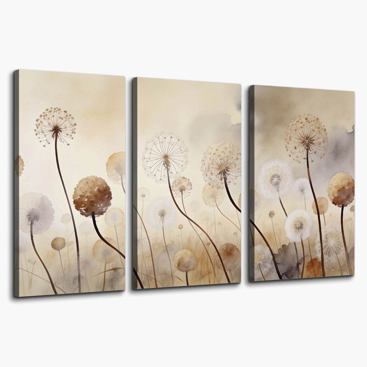 Delicate dandelion seed heads in warm misty light 3 piece canvas wall art on a white background