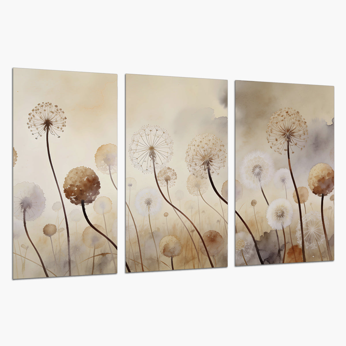 Delicate dandelion seed heads in warm misty light set of 3 poster prints on a white background
