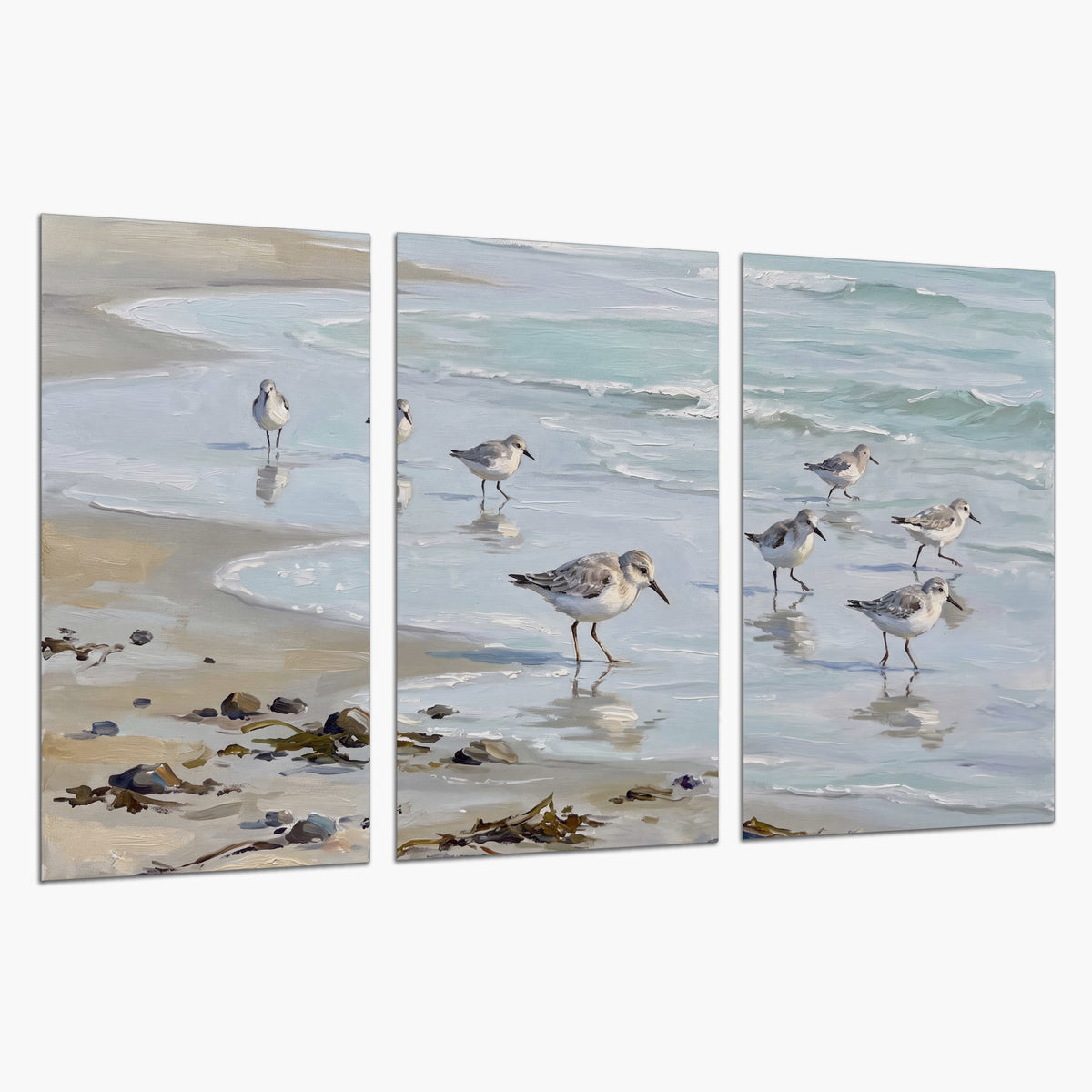 Small shorebirds standing along a pale blue shoreline set of 3 poster prints on a white background