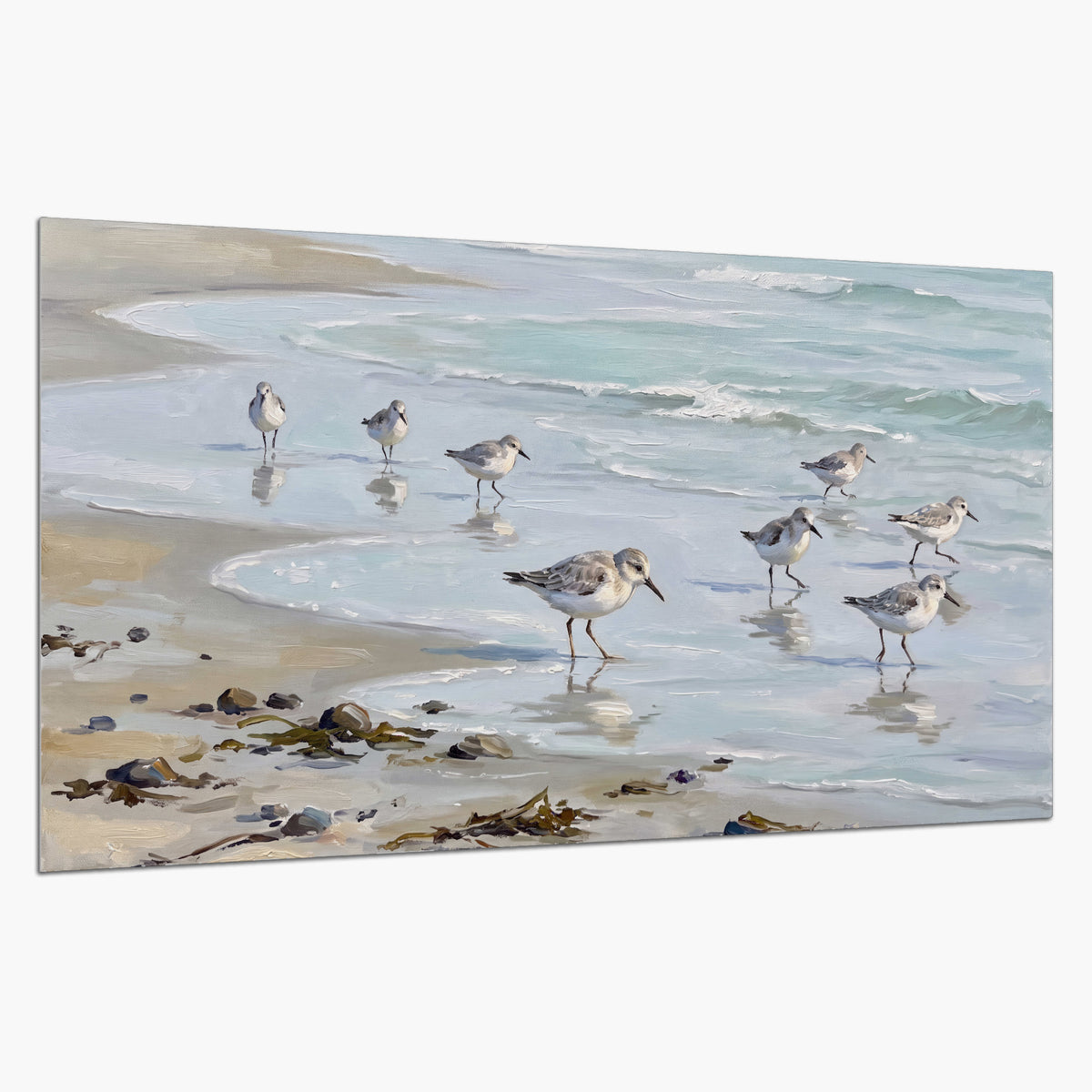 Small shorebirds standing along a pale blue shoreline single poster print on a white background