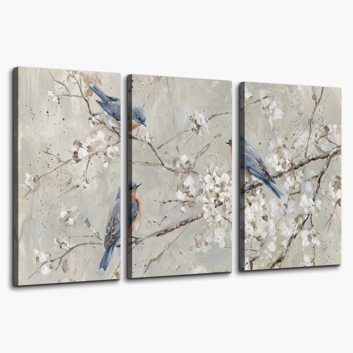 Bluebirds perched on delicate white flowering branches against pale sage 3 piece canvas wall art on a white background