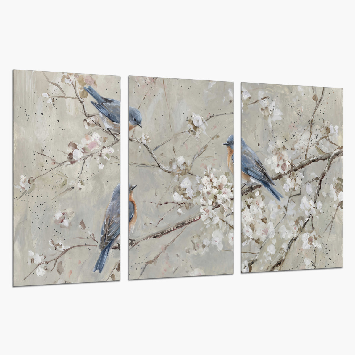 Bluebirds perched on delicate white flowering branches against pale sage set of 3 poster prints on a white background