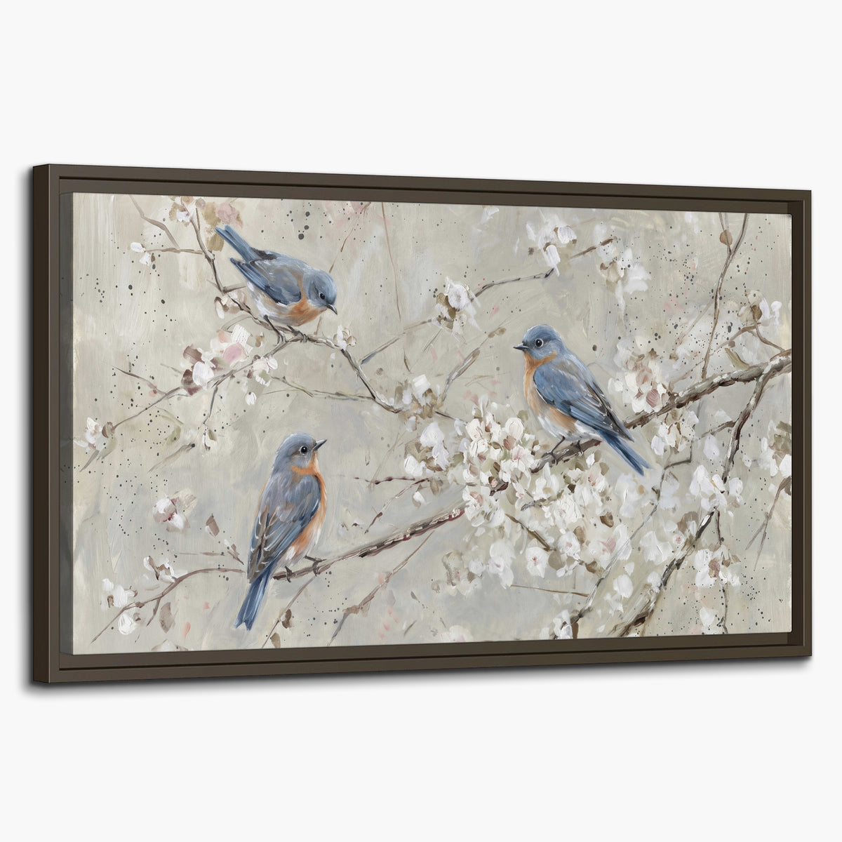 Bluebirds perched on delicate white flowering branches against pale sage single framed canvas wall art on a white background