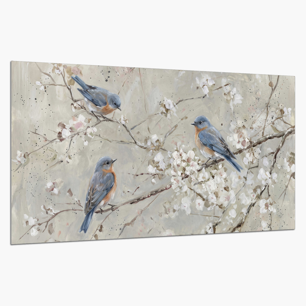Bluebirds perched on delicate white flowering branches against pale sage single poster print on a white background