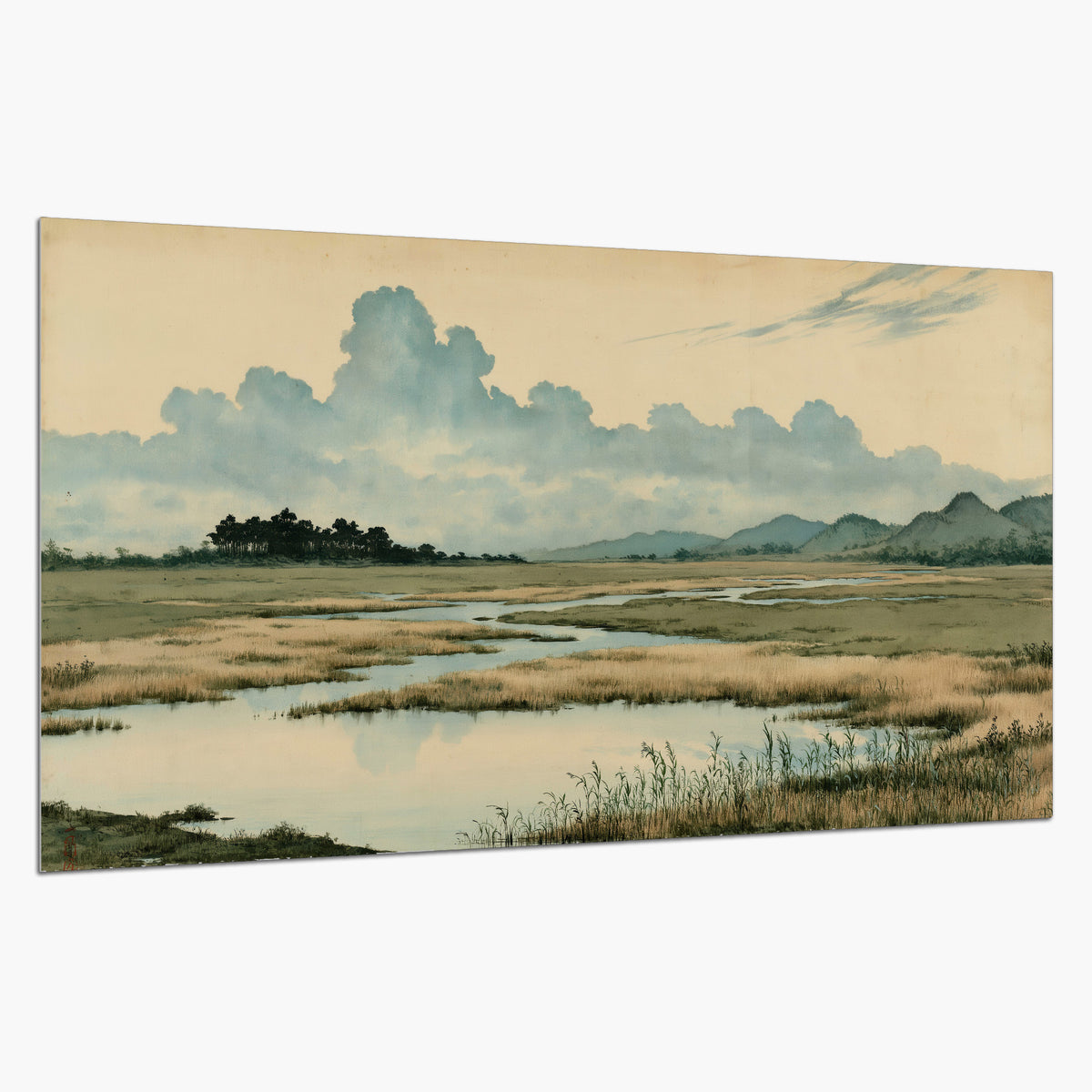 A calm marshland with reflective pools and distant blue-green hills under a clouded sky single poster print on a white background