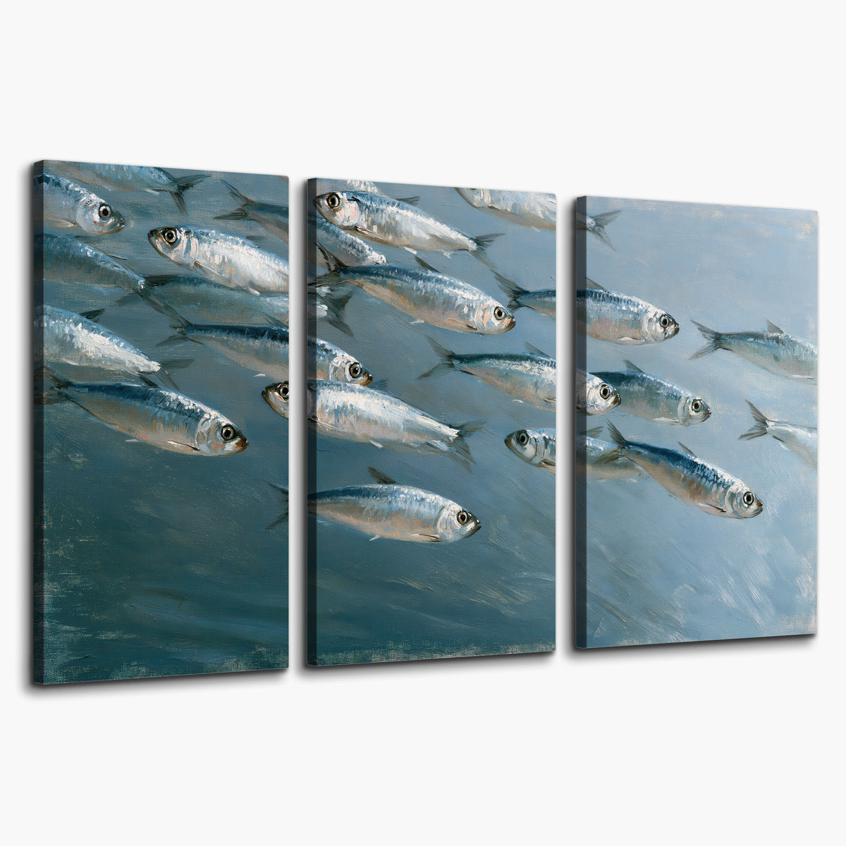 A school of silver fish moving together through cool blue water 3 piece canvas wall art on a white background