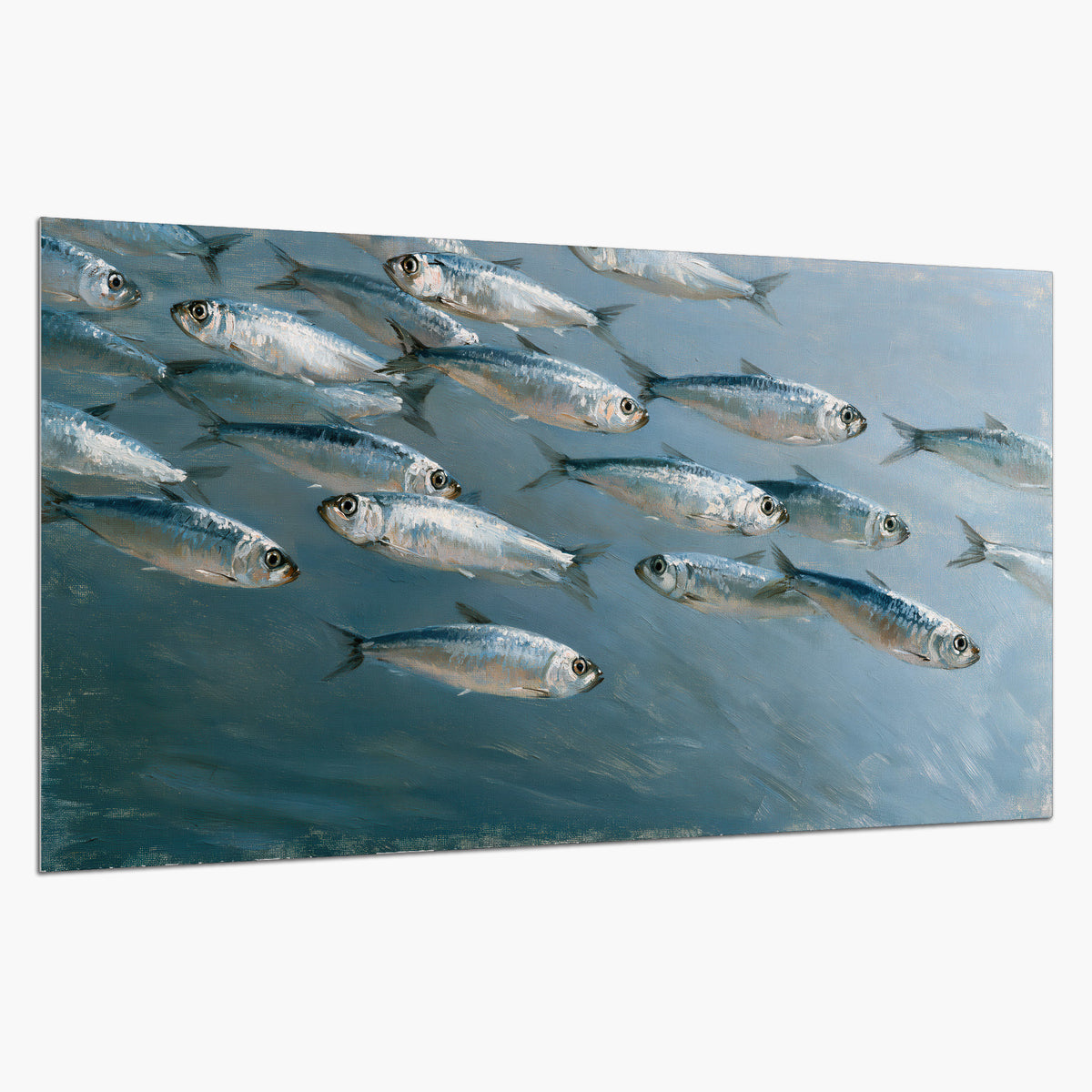 A school of silver fish moving together through cool blue water single poster print on a white background