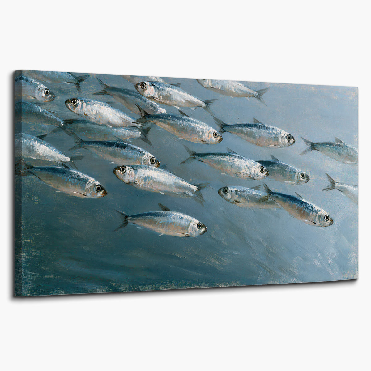 A school of silver fish moving together through cool blue water single canvas wall art on a white background