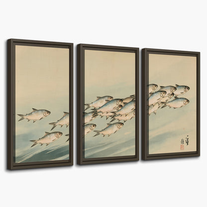 A flowing school of small fish above pale blue water on a cream ground 3 piece framed canvas wall art on a white background