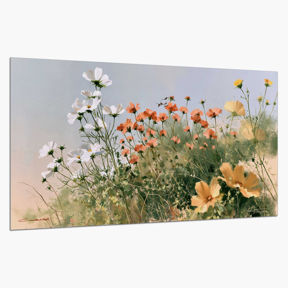 White and orange meadow flowers with fine green stems under a pale sky single poster print on a white background