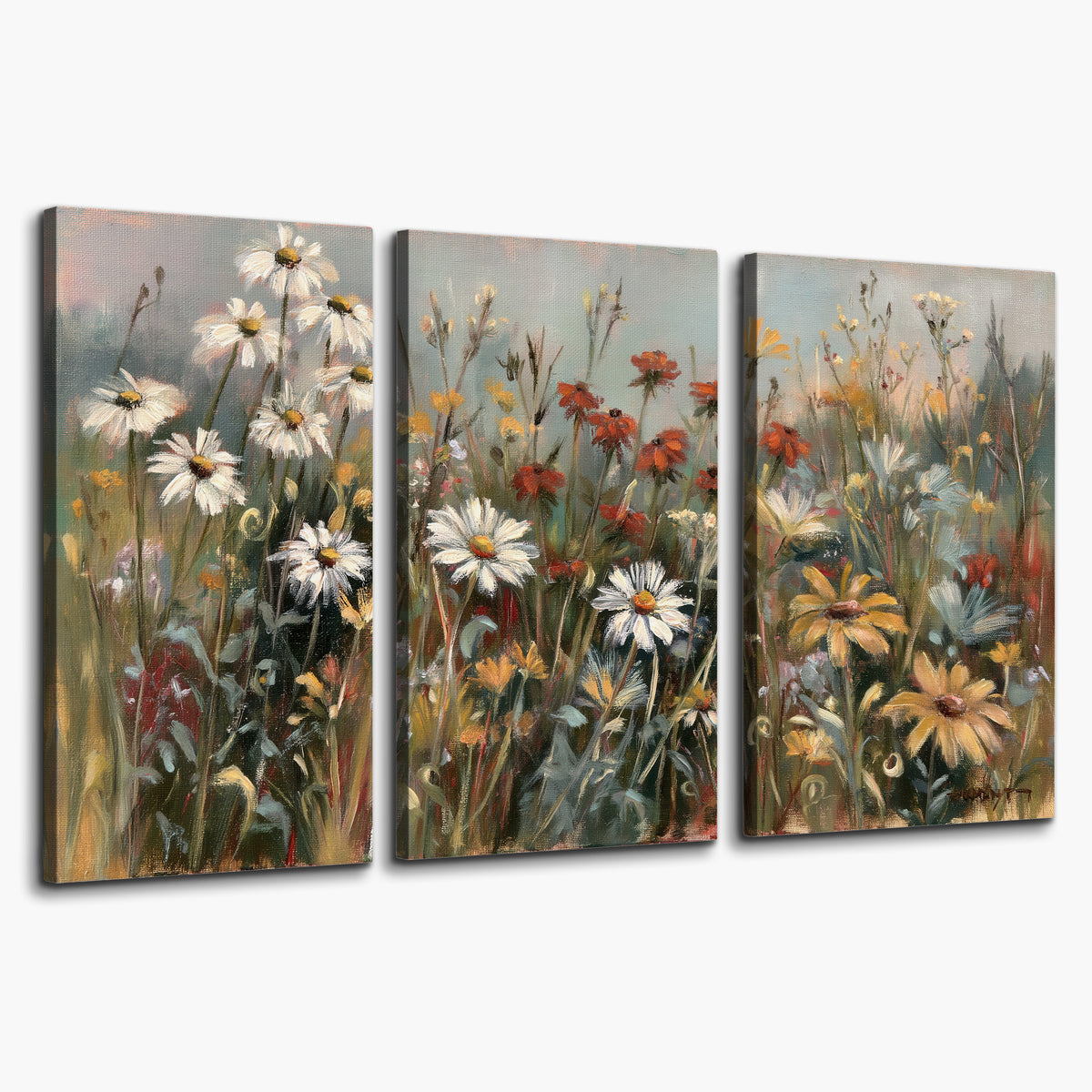 White daisies, rust blooms and long grasses in a softly shadowed meadow 3 piece canvas wall art on a white background