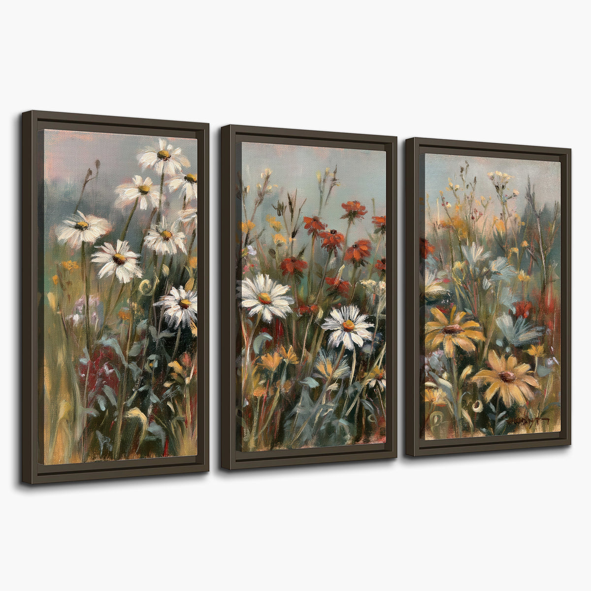 White daisies, rust blooms and long grasses in a softly shadowed meadow 3 piece framed canvas wall art on a white background
