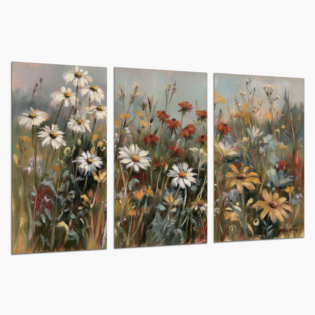 White daisies, rust blooms and long grasses in a softly shadowed meadow set of 3 poster prints on a white background
