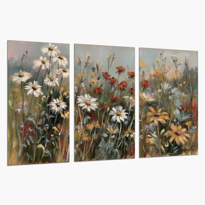 White daisies, rust blooms and long grasses in a softly shadowed meadow set of 3 poster prints on a white background