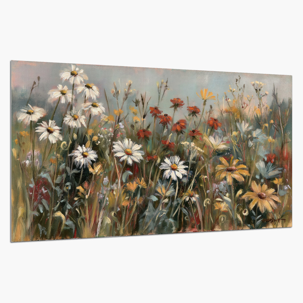 White daisies, rust blooms and long grasses in a softly shadowed meadow single poster print on a white background