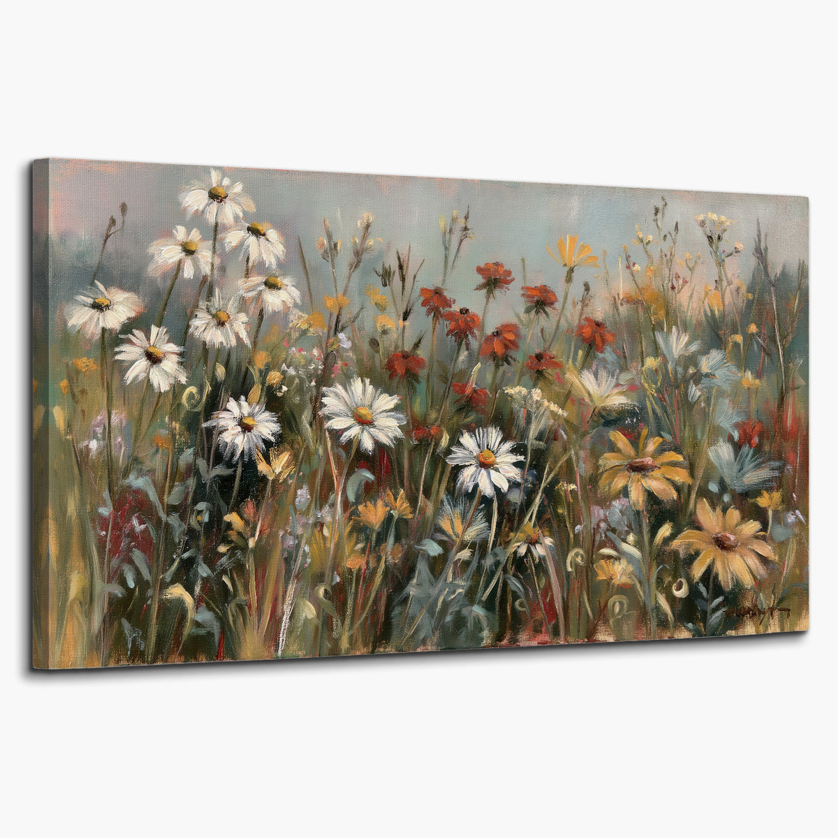 White daisies, rust blooms and long grasses in a softly shadowed meadow single canvas wall art on a white background