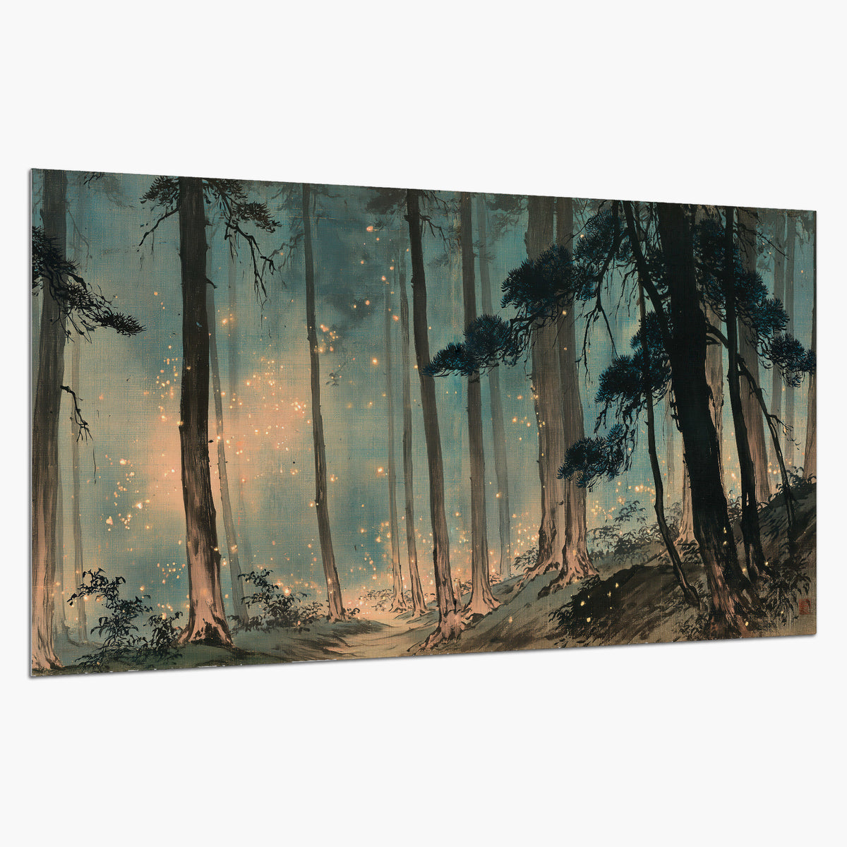 Warm shafts of light falling between tall dark pine trees in a misty green forest single poster print on a white background