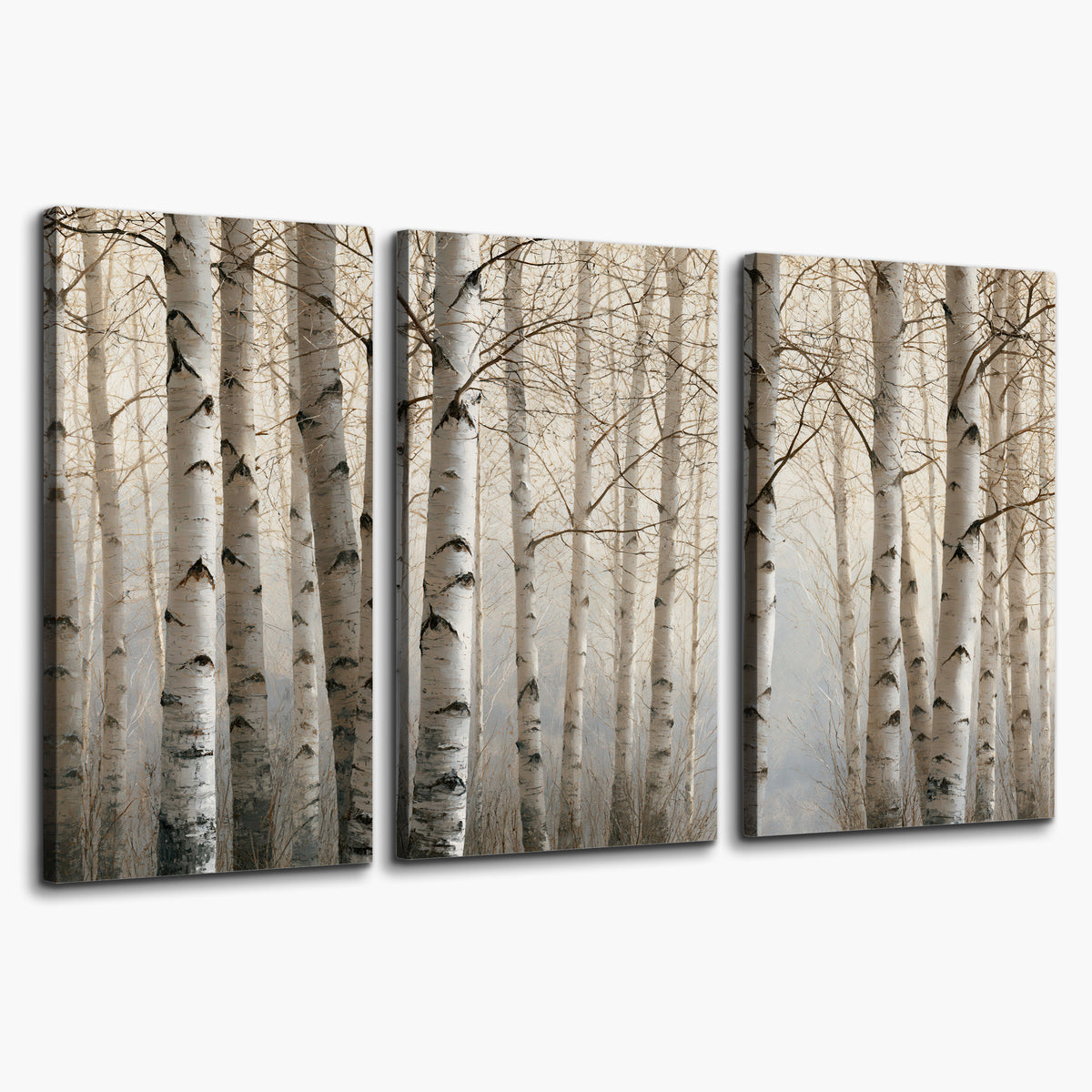 Pale birch trunks and delicate bare branches in a soft neutral woodland 3 piece canvas wall art on a white background