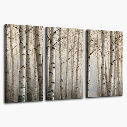 Pale birch trunks and delicate bare branches in a soft neutral woodland 3 piece canvas wall art on a white background