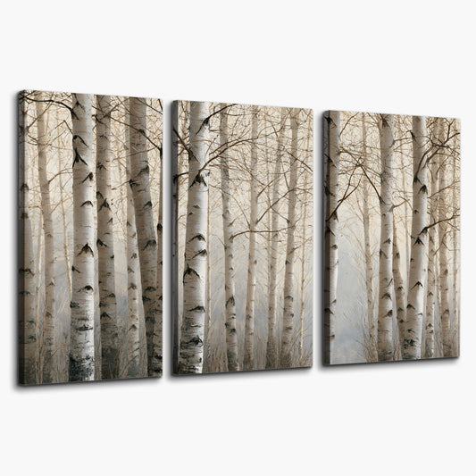 Pale birch trunks and delicate bare branches in a soft neutral woodland 3 piece canvas wall art on a white background