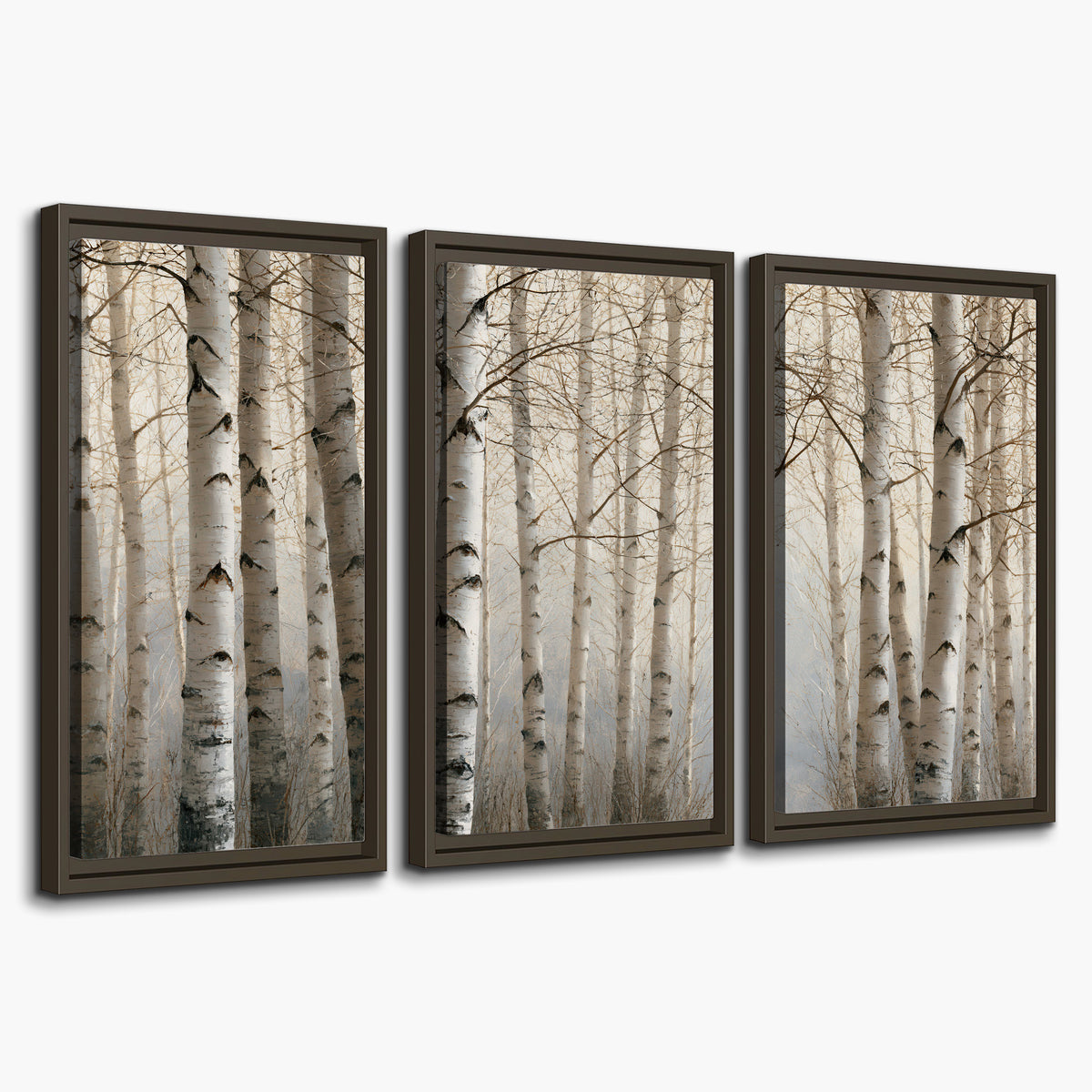 Pale birch trunks and delicate bare branches in a soft neutral woodland 3 piece framed canvas wall art on a white background
