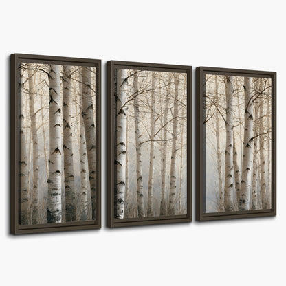 Pale birch trunks and delicate bare branches in a soft neutral woodland 3 piece framed canvas wall art on a white background