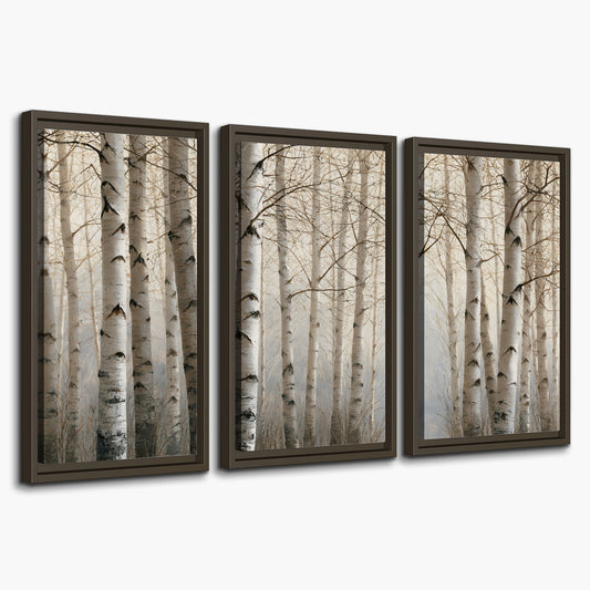 Pale birch trunks and delicate bare branches in a soft neutral woodland 3 piece framed canvas wall art on a white background
