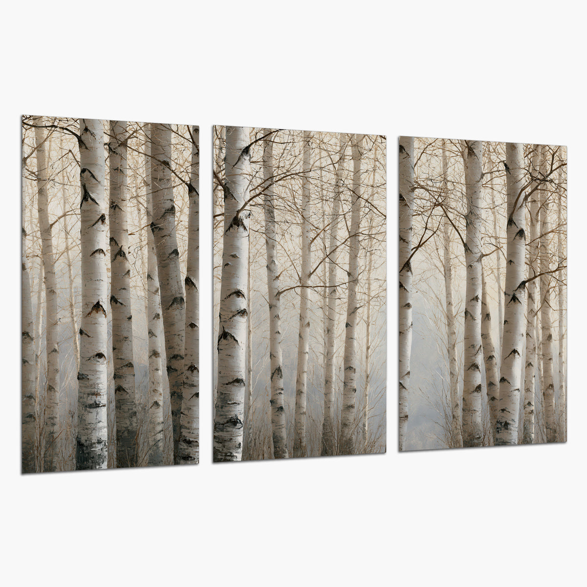 Pale birch trunks and delicate bare branches in a soft neutral woodland set of 3 poster prints on a white background