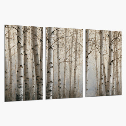 Pale birch trunks and delicate bare branches in a soft neutral woodland set of 3 poster prints on a white background