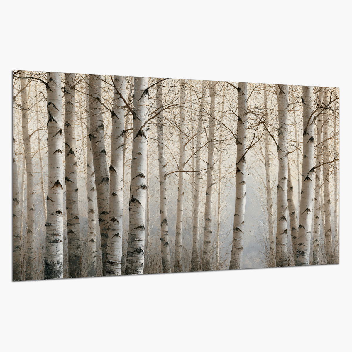 Pale birch trunks and delicate bare branches in a soft neutral woodland single poster print on a white background