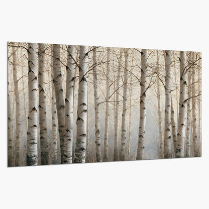 Pale birch trunks and delicate bare branches in a soft neutral woodland single poster print on a white background
