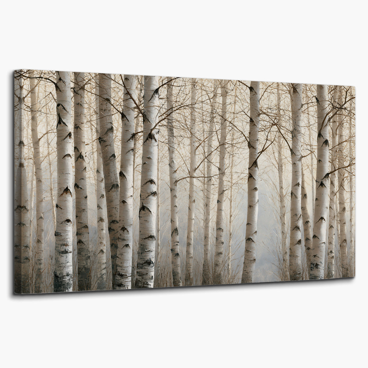 Pale birch trunks and delicate bare branches in a soft neutral woodland single canvas wall art on a white background