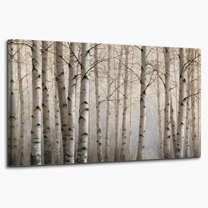 Pale birch trunks and delicate bare branches in a soft neutral woodland single canvas wall art on a white background