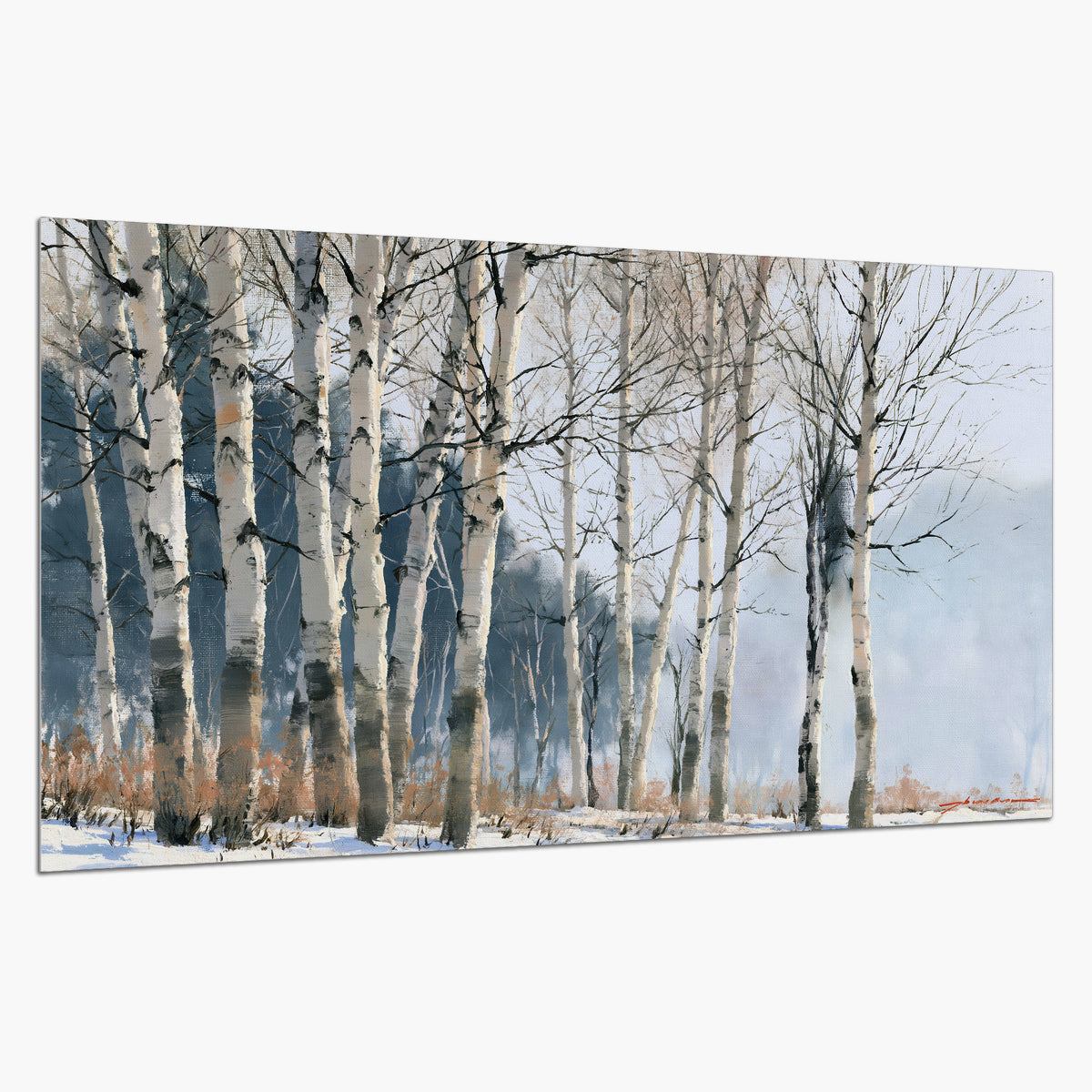 A line of bare birch trees against a cool blue-gray sky single poster print on a white background
