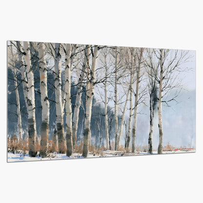 A line of bare birch trees against a cool blue-gray sky single poster print on a white background