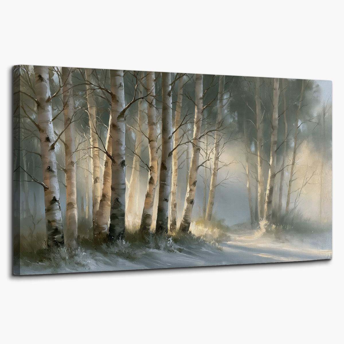 A softly lit woodland path winding between pale birch trunks single canvas wall art on a white background